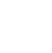 NINE TAILED FOX Logo